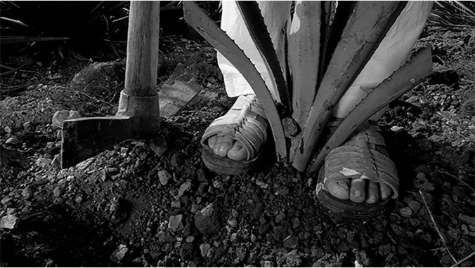 Crafting Tequila Feet Sauza
