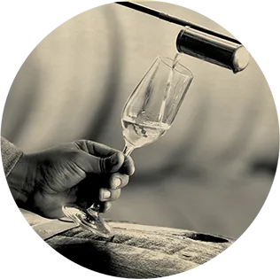 Tequila Sauza Glass 2005