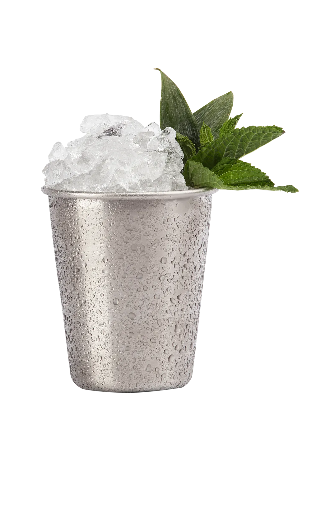 Cocktail shaker with ice Sauza