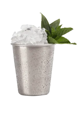 Cocktail solo shaker with Ice Sauza